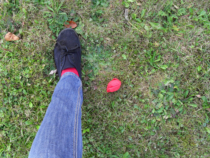 Seesaw Project