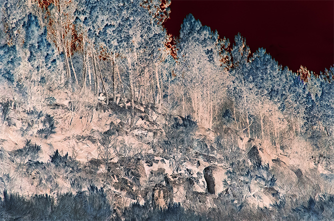 Artweeks large photo 'spirit renewed'