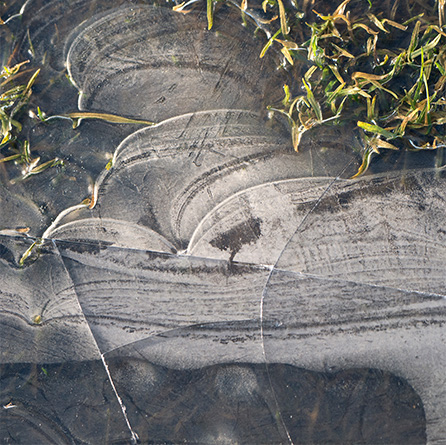 Artweeks transience photo