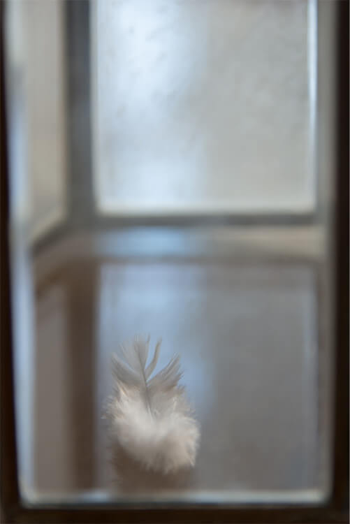 Artweeks 2024 Which ever way the wind blows