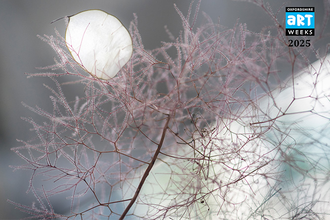 Artweeks 2025 photo