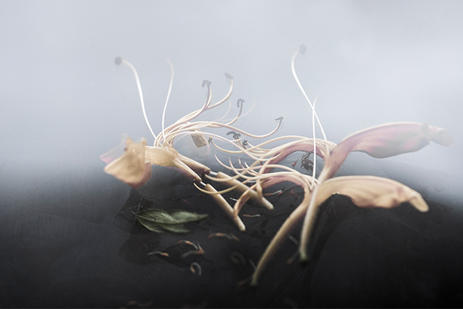 Artweeks 2025 - softly barefoot in the grass