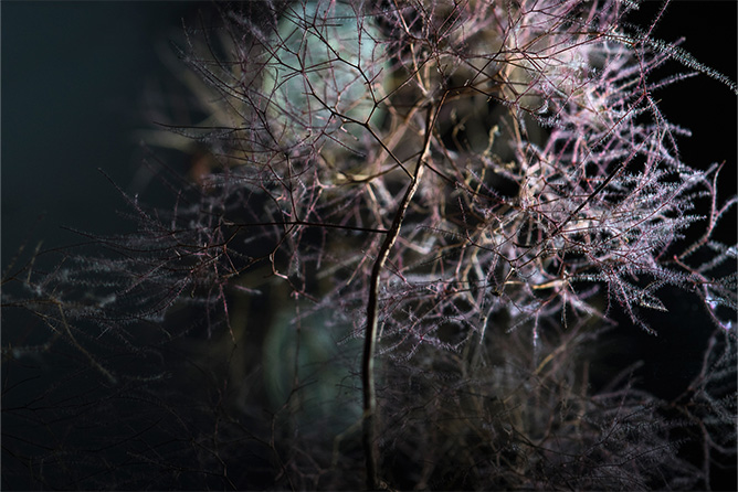 Artweeks 2025 - softly barefoot in the grass