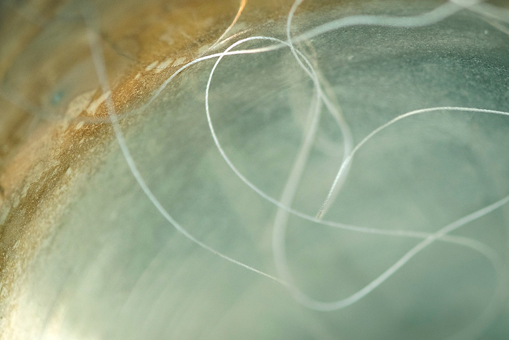 Artweeks 2026 - pathways, rhythms, shifts and heartbeats