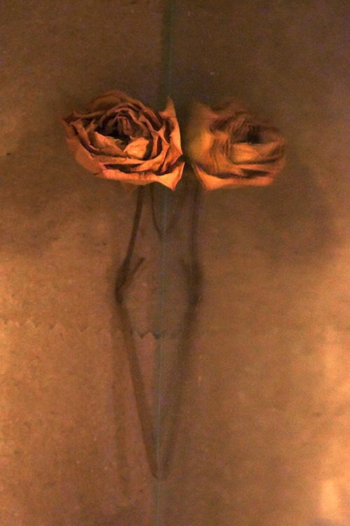 Artweeks 2026 - pathways, rhythms, shifts and heartbeats - touching memory