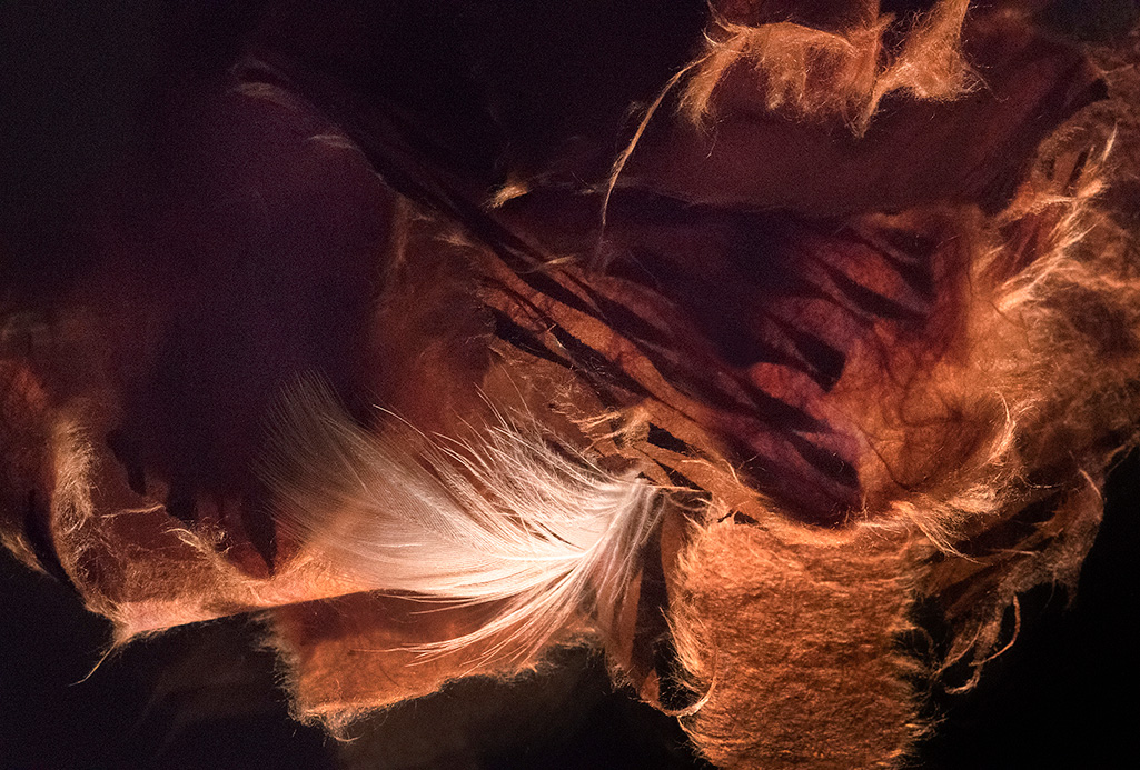 Artweeks 2026 - pathways, rhythms, shifts and heartbeats - synergy