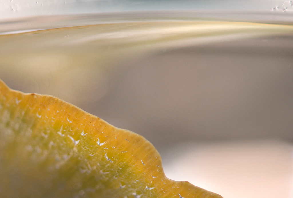 Artweeks 2026 - pathways, rhythms, shifts and heartbeats - calm