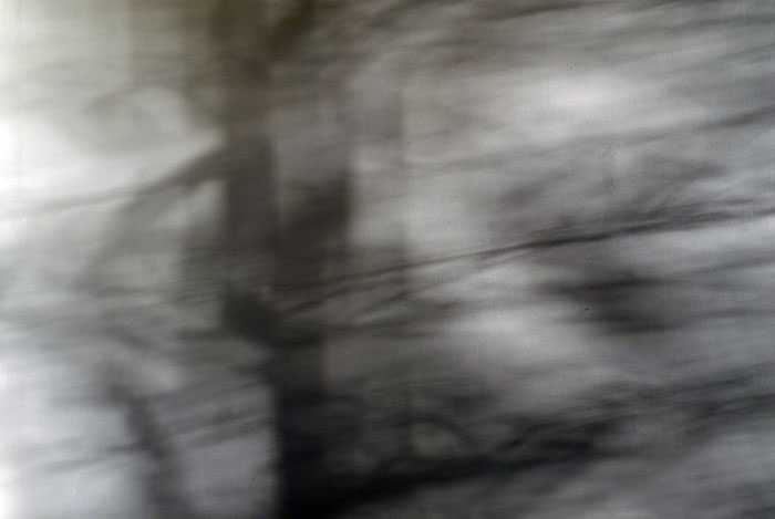 Response to Transition large photo