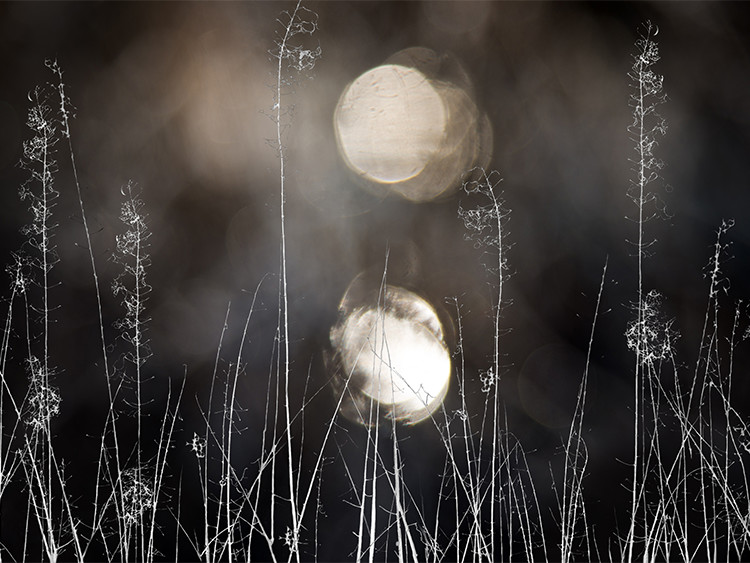 Where the Mood Takes You large photo